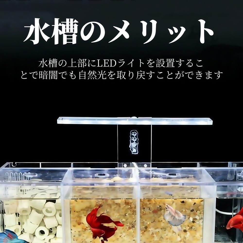 Amazon | YFFYミニデスクトップベタ水槽セット、ウォーターポンプとLED